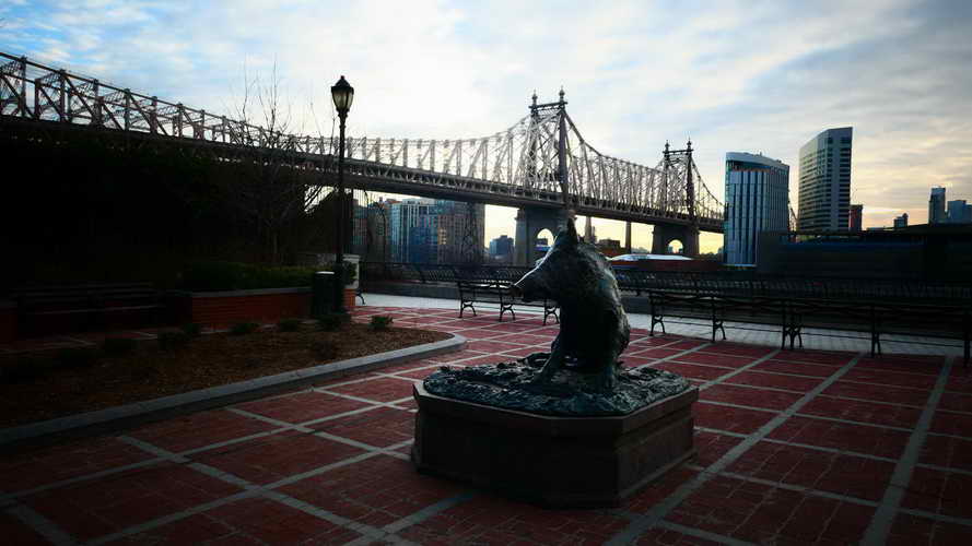 NYC_2020-01-27 07-49-02_P1070748